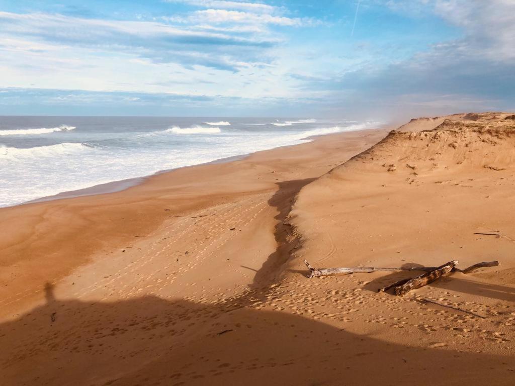 Joli Appartement A 300 M De La Plage Labenne Kültér fotó
